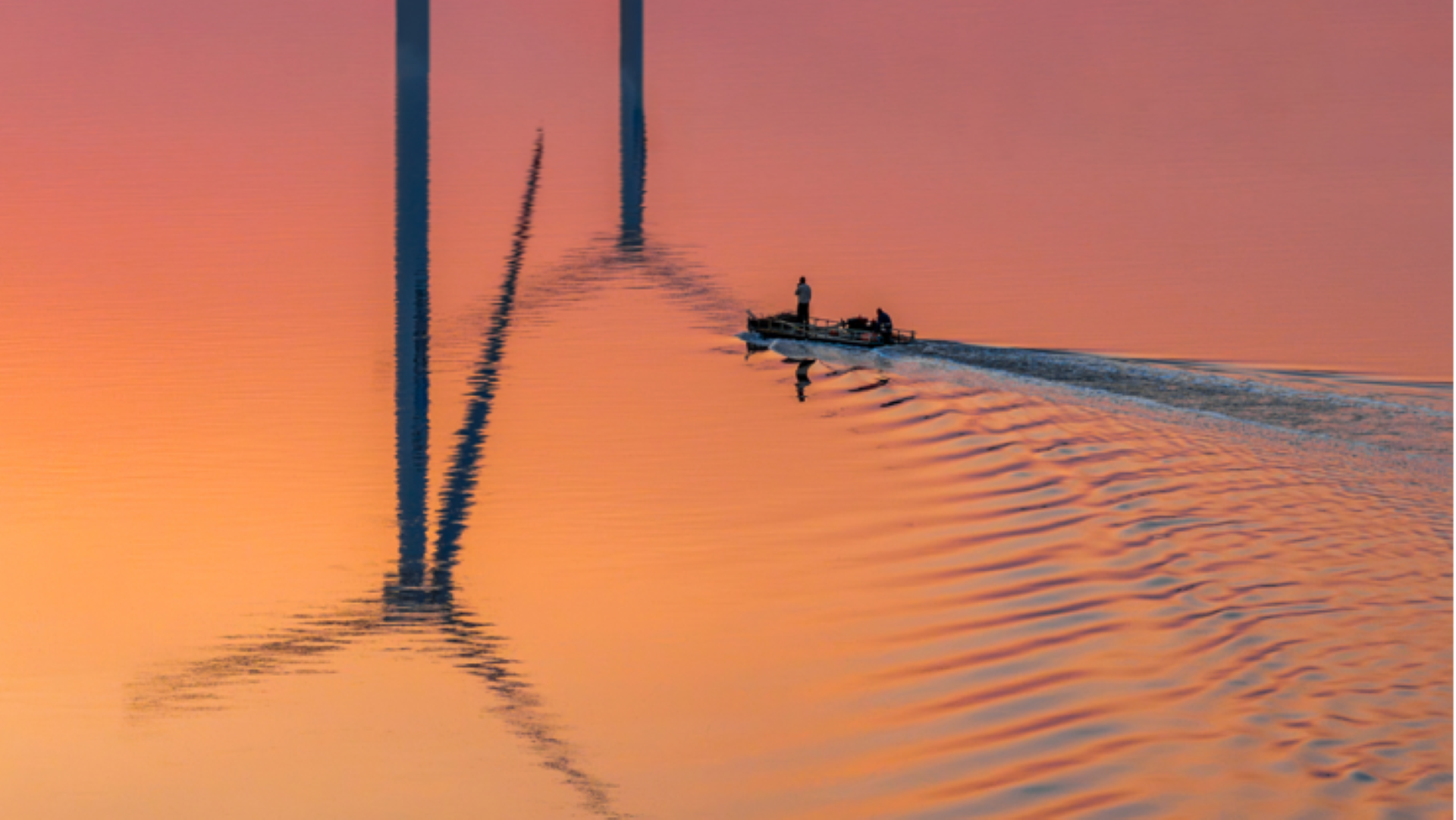 ������⡤��������