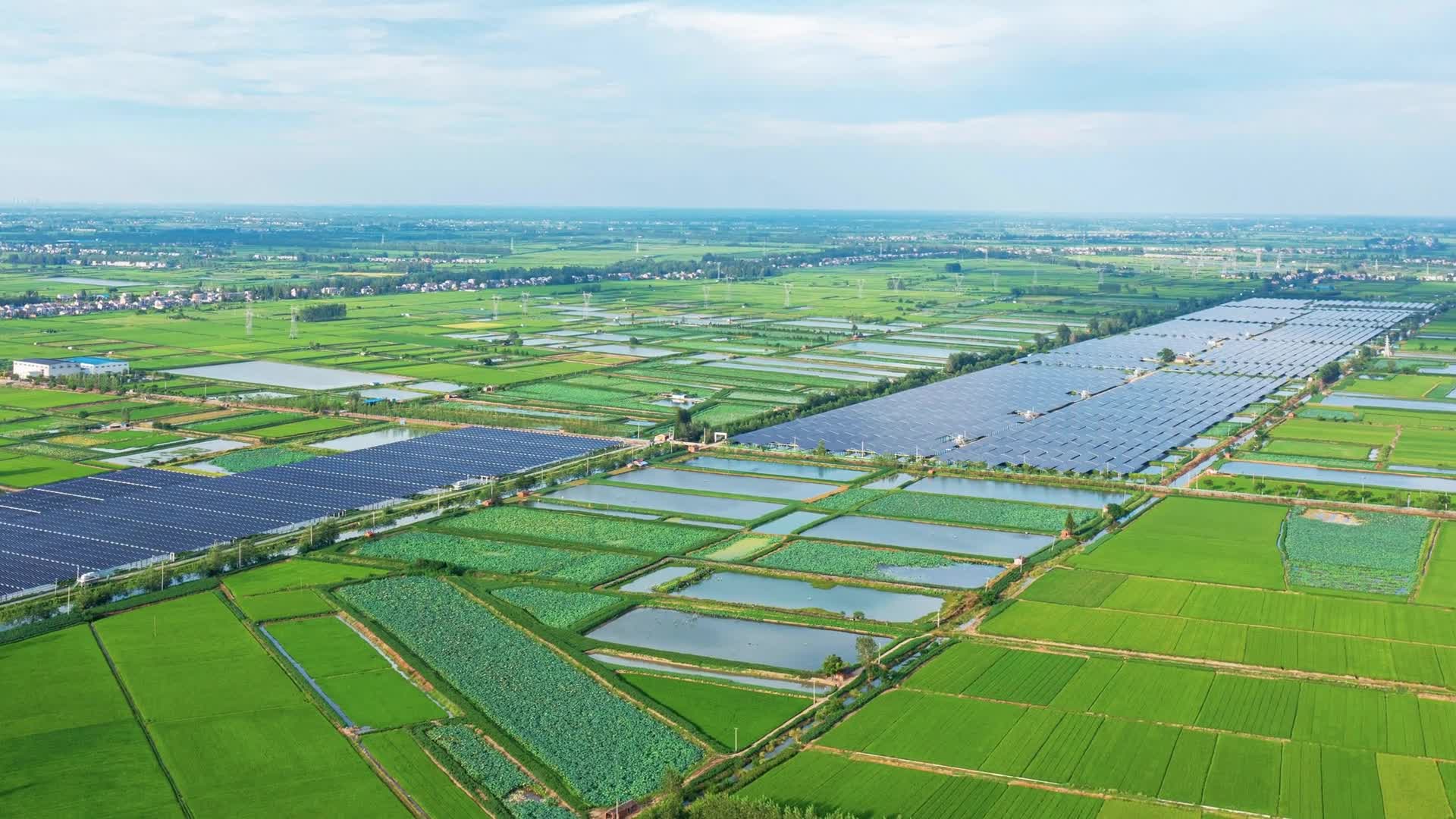 �����֯�͡�����