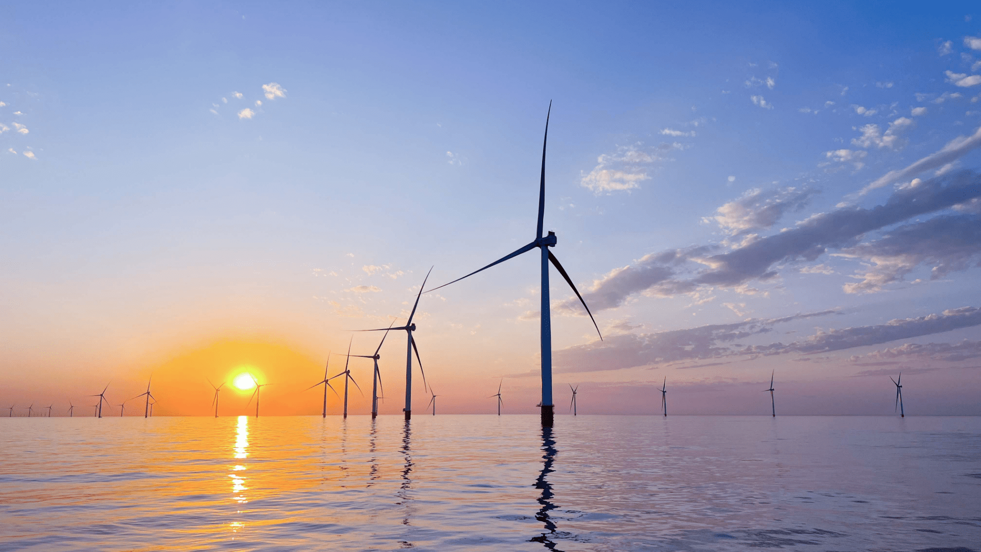 ɽ����Ӫ���к����Ƶ糡