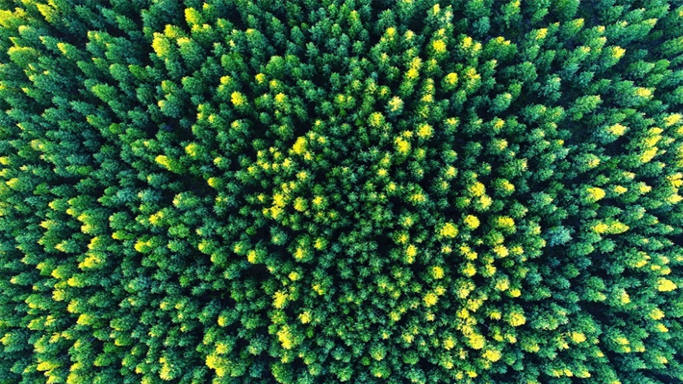 qyǧ��-ǧ�����ѻ�-ǧ�����ѻ����