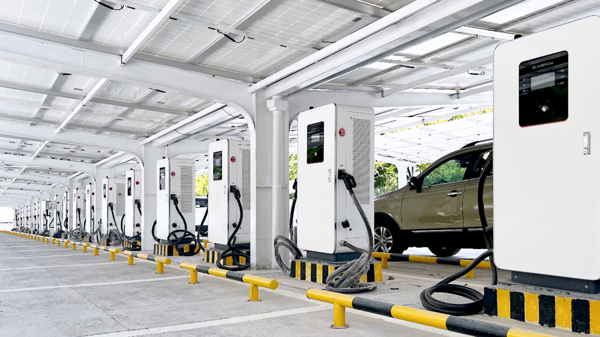 ����������̼Ч�Ͳ���Ŀ