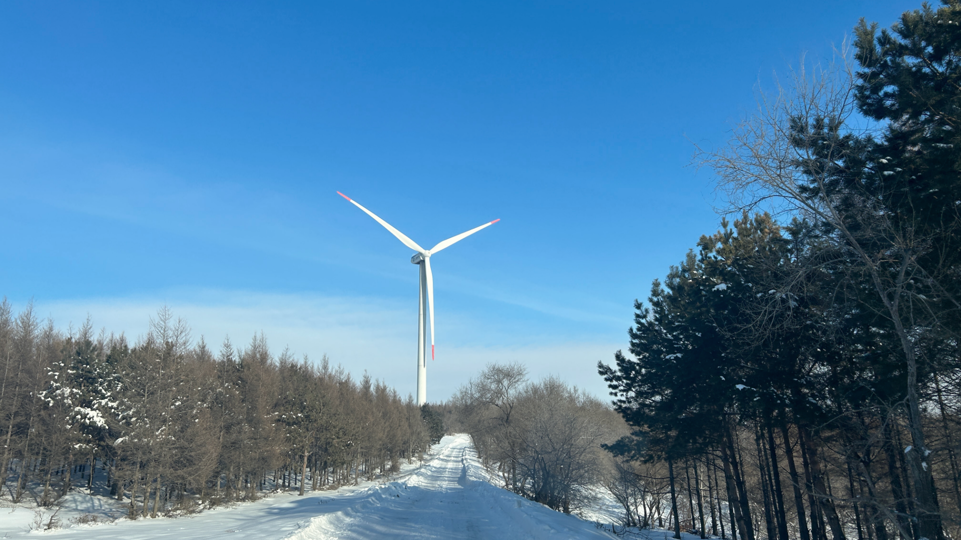 qyǧ��-ǧ�����ѻ�-ǧ�����ѻ����