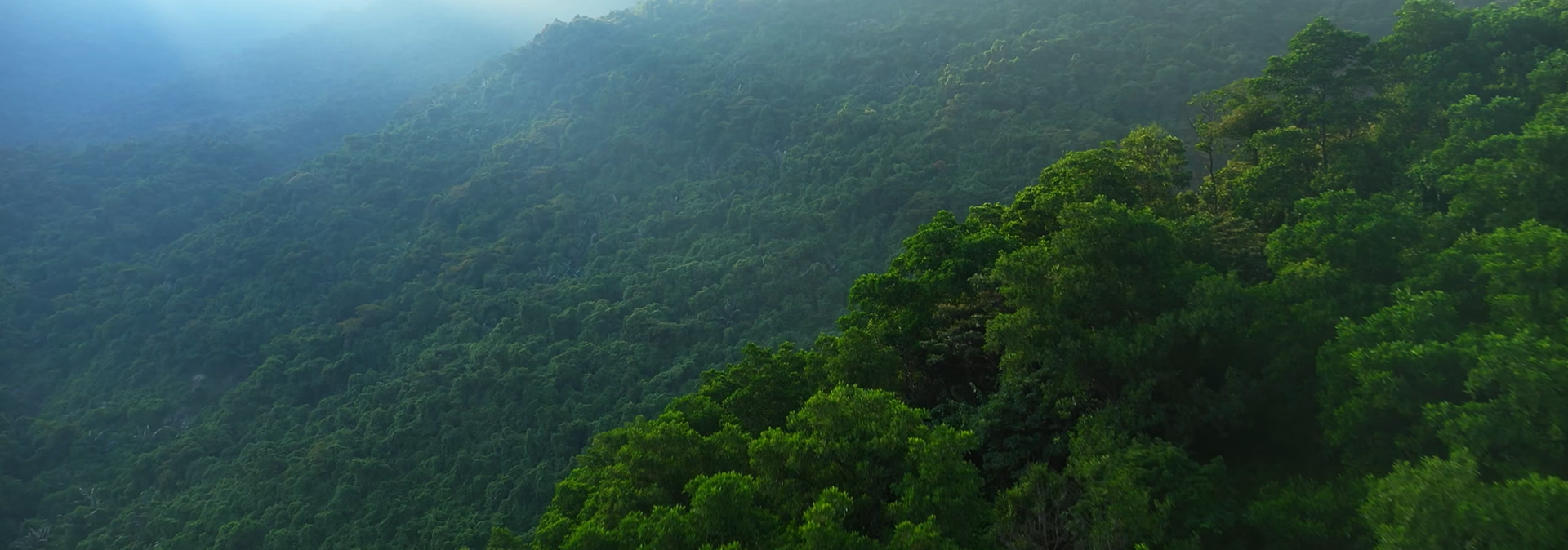 ������� ��������