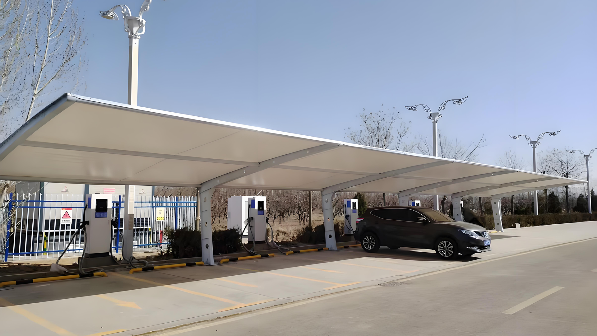 ���ɹŰ����׶�����������Ŀ