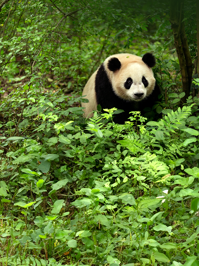 qyǧ��-ǧ�����ѻ�-ǧ�����ѻ����